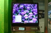 SONY SDM-E76D