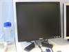 DELL E177FP