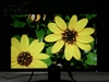 LG L204WT