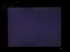 BenQ FP2092