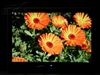 优派VX2035wm