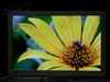 BenQ FP93VW