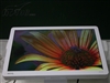 BenQ FP93VW