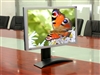 BenQ FP241WZ