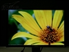 DELL E228WFP