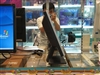 BenQ FP93G S