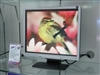 BenQ FP95G