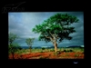 LG L226WT