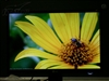 LG L226WT