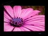 LG L196WTQ