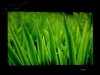 LG L196WTQ