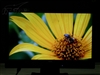 AOC 716Sw