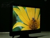 AOC 716Sw