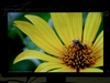 Great Wall Z221