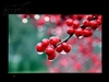 BenQ FP222WH