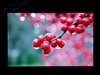 美格WG21D