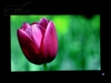 LG L222WT