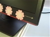 BenQ E900WN