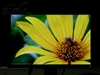 DELL E198WFP