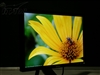DELL E198WFP