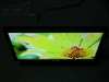 DELL E198WFP