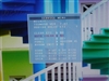 LG W2042T