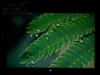 优派VP2250wb