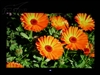 优派VP2250wb