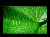 优派VP2250wb