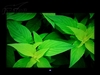 优派VP2250wb