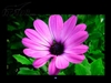优派VP2250wb