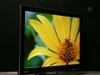 BenQ T261W