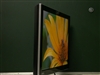 BenQ T261W