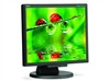 NEC LCD175M