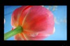 华硕LS246H