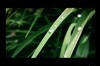 华硕LS246H