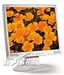 Acer AL718