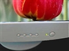 imagic 910DF