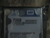 西部数据750G/5400转/8M/串口/笔记本(WD7500KEVT)