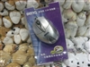 BenQ 乖乖熊E200