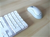 Microsoft 无线极动鲨-白(Standard Wireless Optical Mouse)