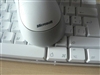 Microsoft 无线极动鲨-白(Standard Wireless Optical Mouse)