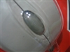 Microsoft 光学精灵鲨(Compact Optical Mouse)