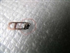 Microsoft 光学极动鲨(Wheel Mouse Optical)