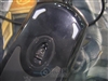 Razer Krait金环蛇