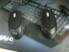 Razer Krait金环蛇