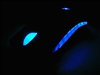 Razer Copperhead铜斑蛇