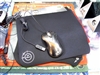 Microsoft 暴雷鲨6000 (Laser Mouse 6000)