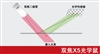 双飞燕亮面飞 X5-20MD