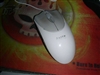 Razer Pro|Solutions Pro|Click v1.6